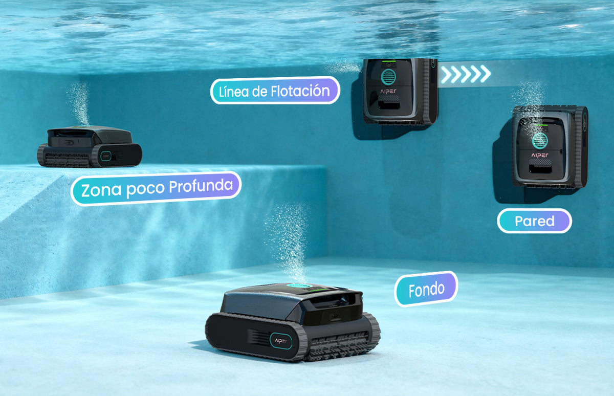 Piscina de 4 zonas