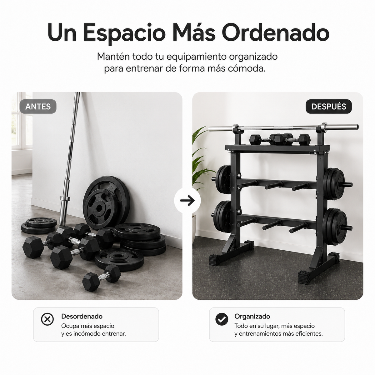 Supporto per manubri e bilancieri rack per palestra in casa