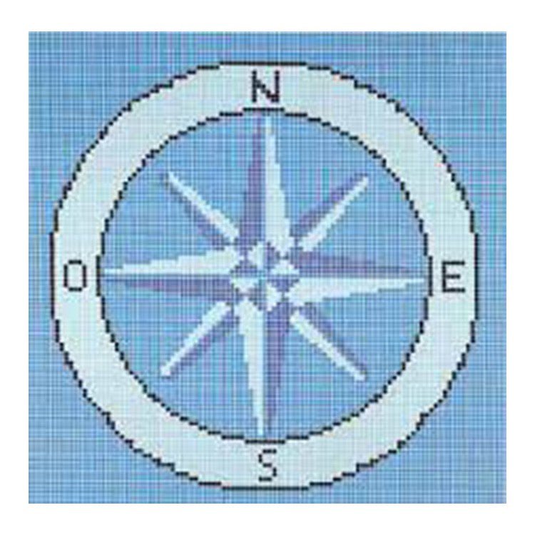 AstralPool - Motif gresite rose des vents 2670 x 2670 mm - BricoandPool