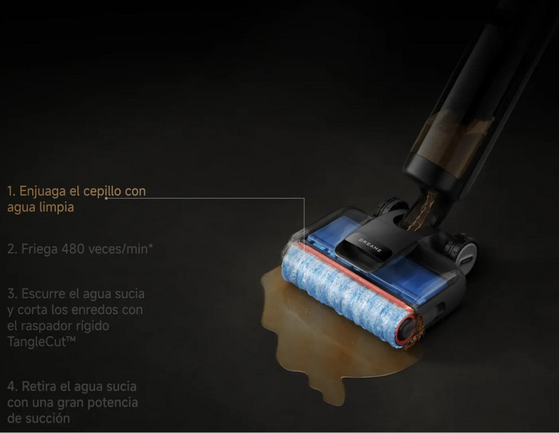 Rincez la brosse à l'eau claire