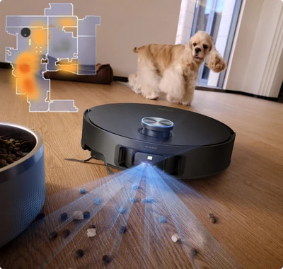Zones d’activité pour animaux de compagnie